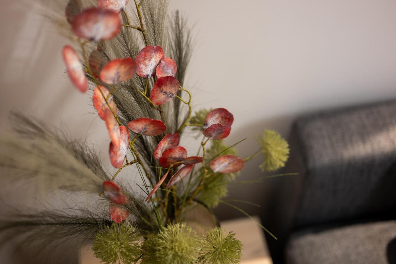 Native Apartments Dietla 17 คราคูฟ ภายนอก รูปภาพ